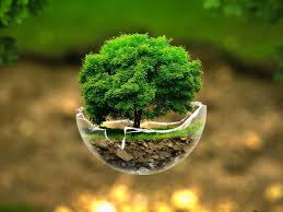 ՀՀ-ում աղտոտված միջավայրի ազդեցությունը բուսական և կենդանական աշխար